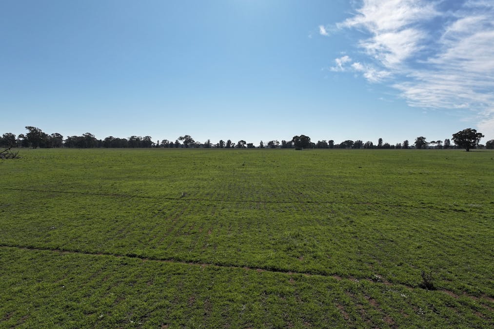 Berrigan Oaklands Road, Berrigan, NSW, 2712 - Image 20