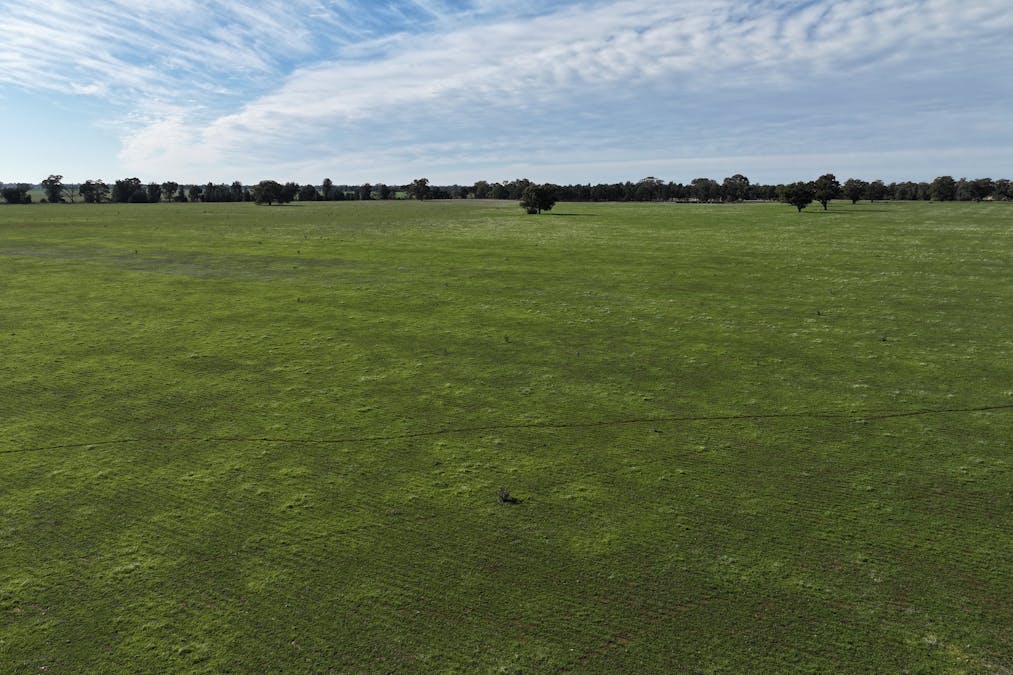 Berrigan Oaklands Road, Berrigan, NSW, 2712 - Image 22