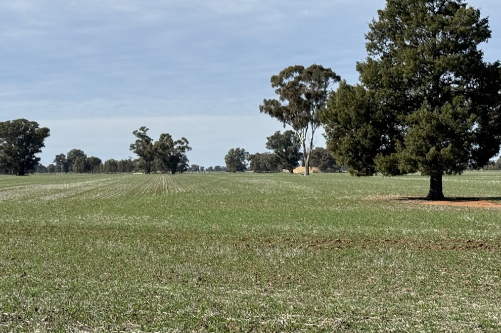 Berrigan Oaklands Road, Berrigan, NSW, 2712 - Image 24