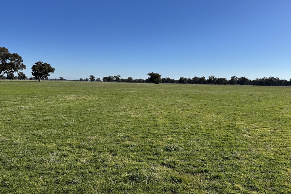 Berrigan Oaklands Road, Berrigan, NSW, 2712 - Image 26