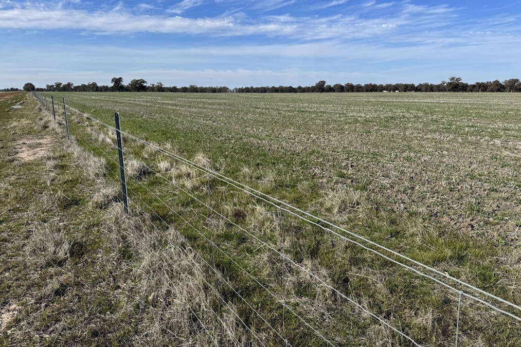 Berrigan Oaklands Road, Berrigan, NSW, 2712 - Image 7