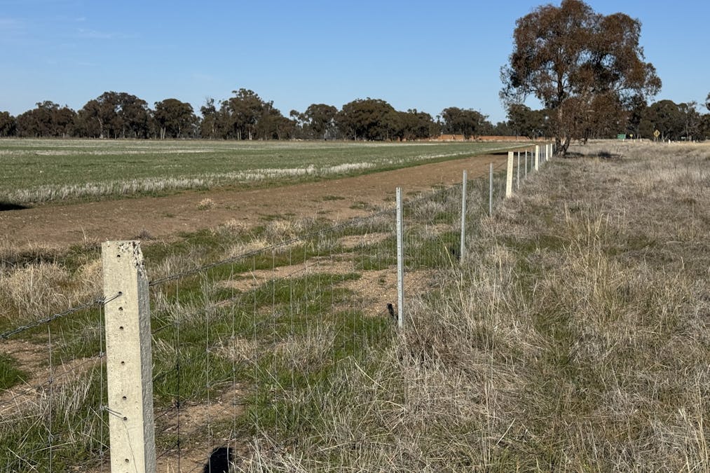 Berrigan Oaklands Road, Berrigan, NSW, 2712 - Image 28