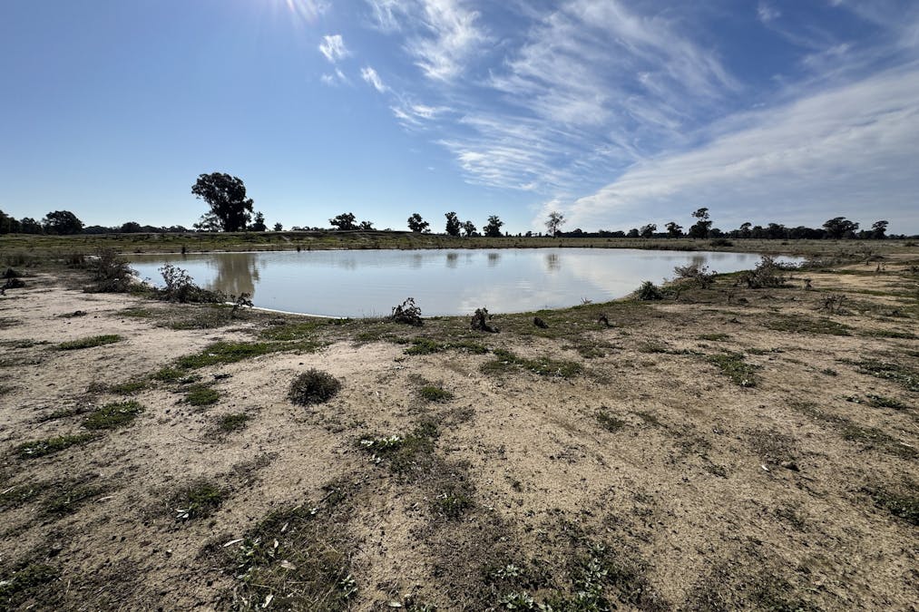 Berrigan Oaklands Road, Berrigan, NSW, 2712 - Image 30