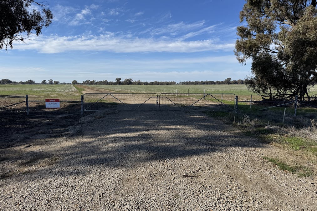 Berrigan Oaklands Road, Berrigan, NSW, 2712 - Image 31