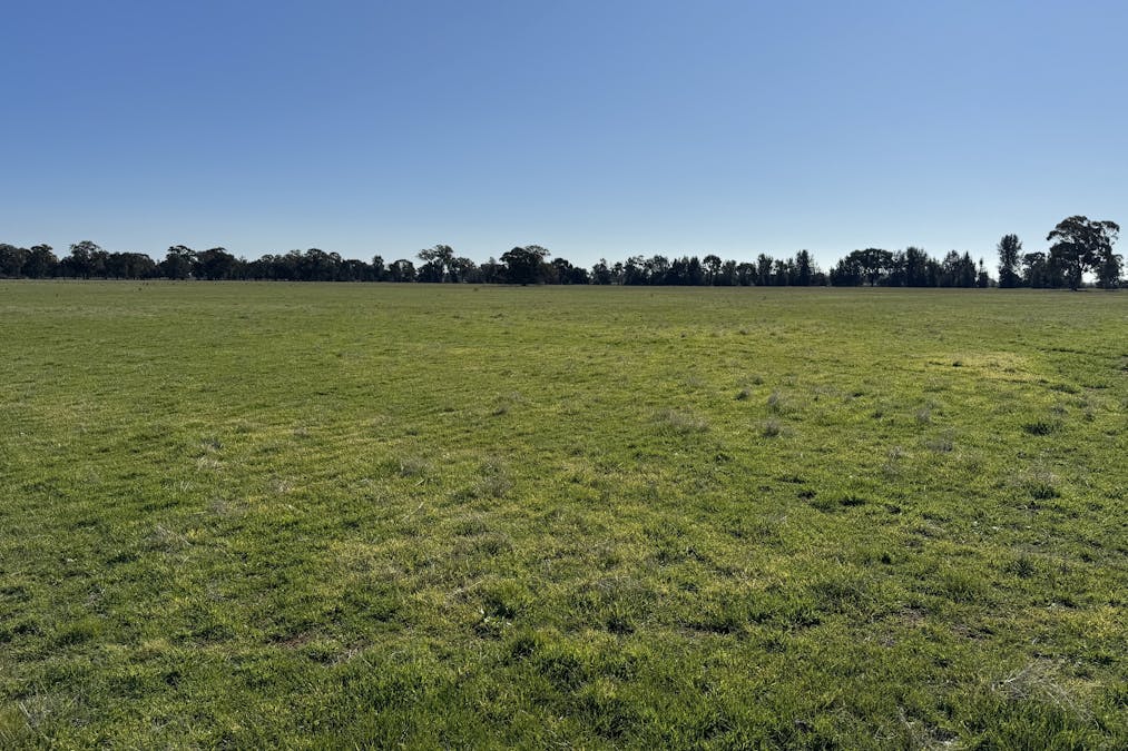 Berrigan Oaklands Road, Berrigan, NSW, 2712 - Image 32