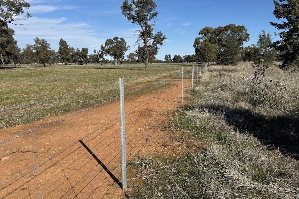Berrigan Oaklands Road, Berrigan, NSW, 2712 - Image 4