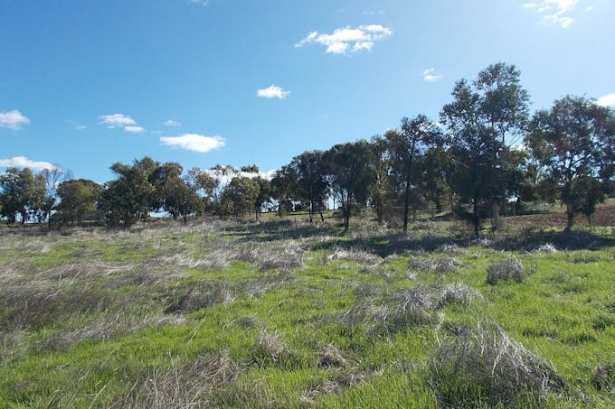 55 Stone Street, Northampton, WA, 6535 - Image 1