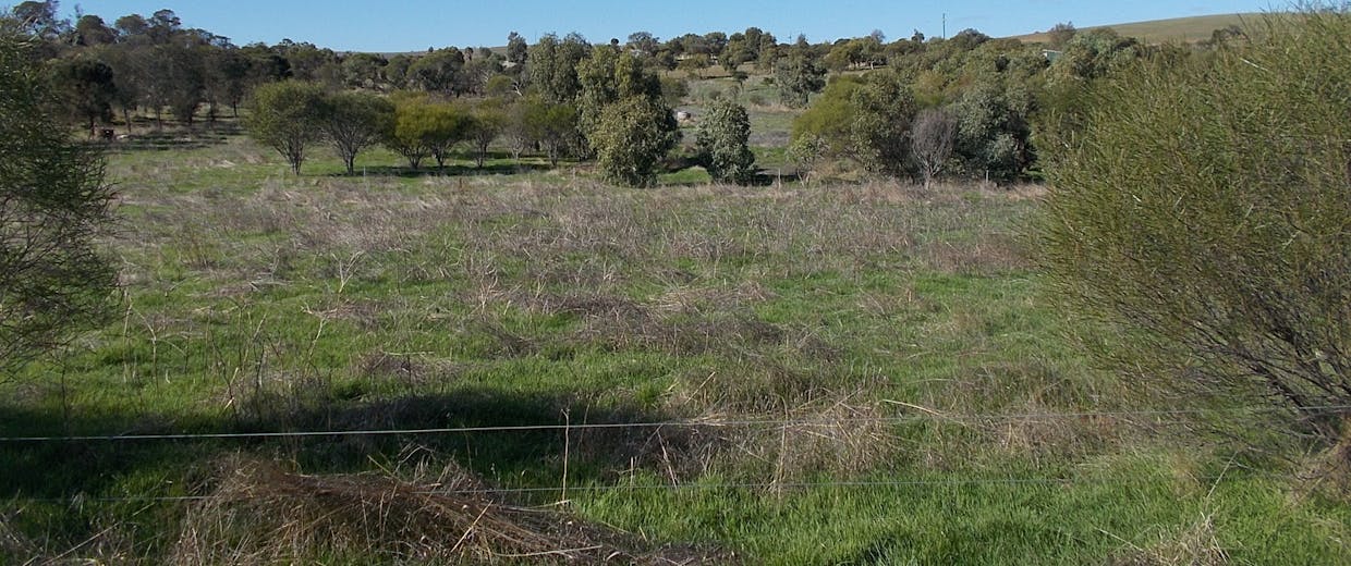 55 Stone Street, Northampton, WA, 6535 - Image 2