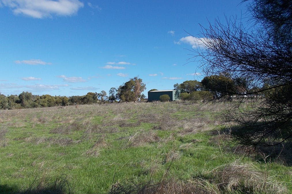 55 Stone Street, Northampton, WA, 6535 - Image 4
