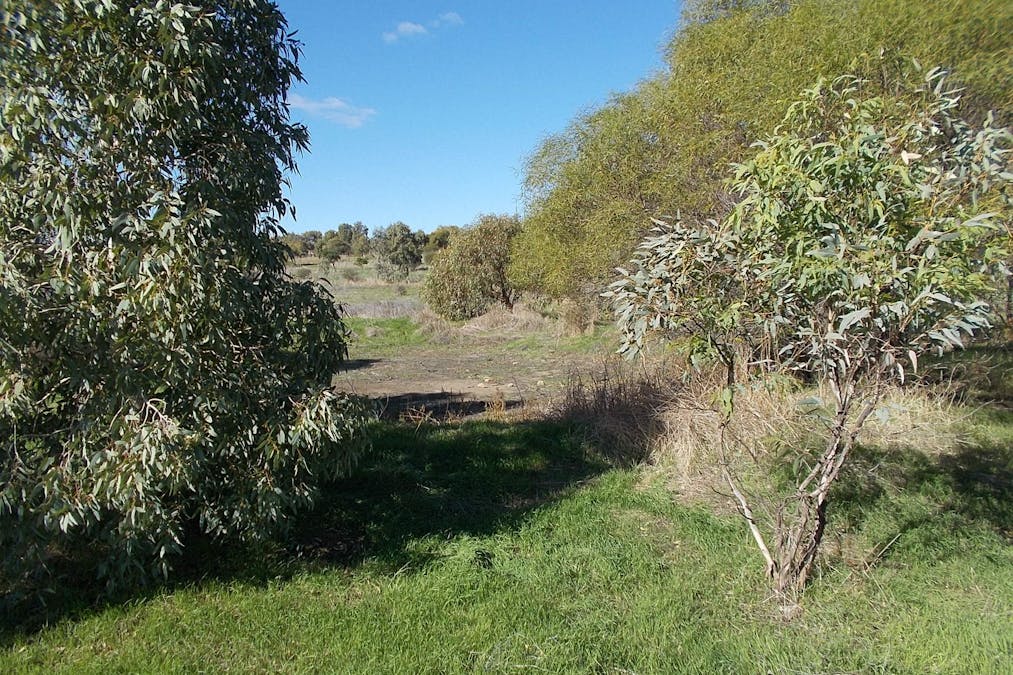 55 Stone Street, Northampton, WA, 6535 - Image 5