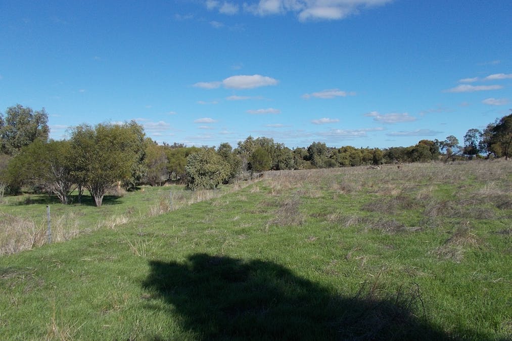 55 Stone Street, Northampton, WA, 6535 - Image 7