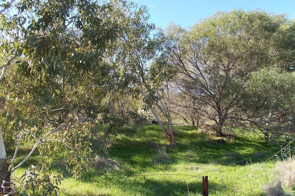 55 Stone Street, Northampton, WA, 6535 - Image 9