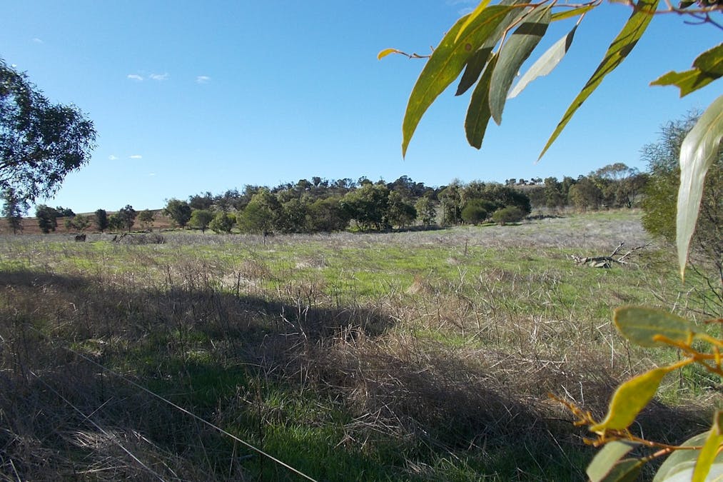 55 Stone Street, Northampton, WA, 6535 - Image 10