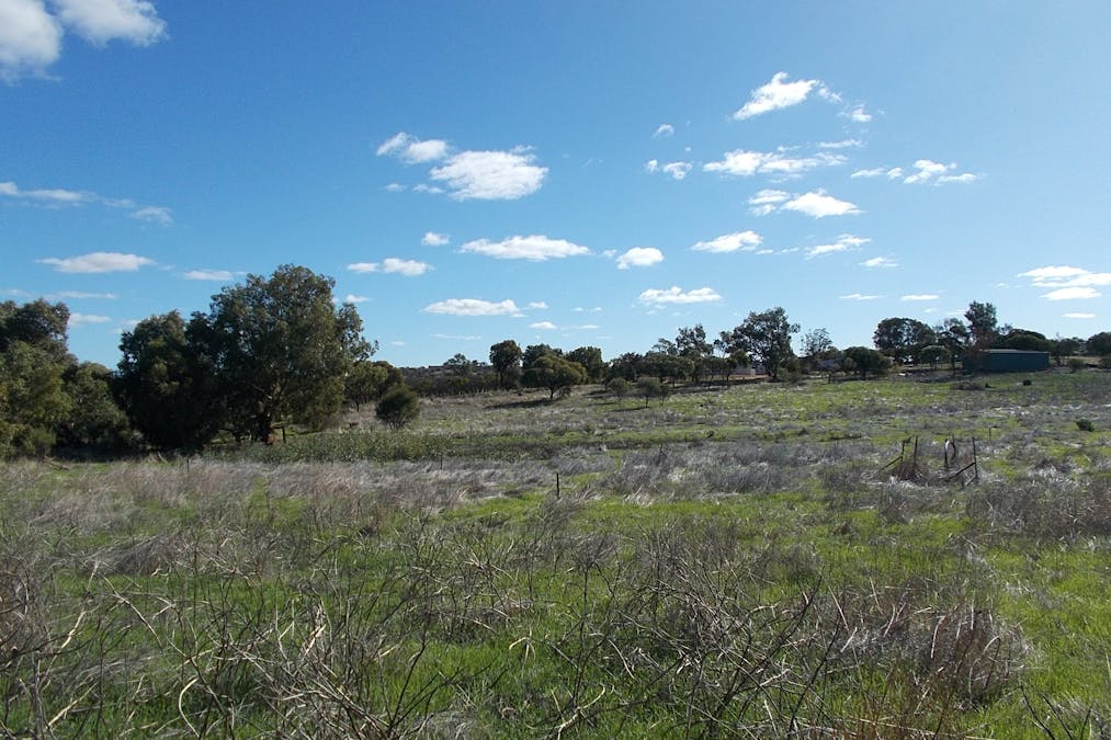 55 Stone Street, Northampton, WA, 6535 - Image 12