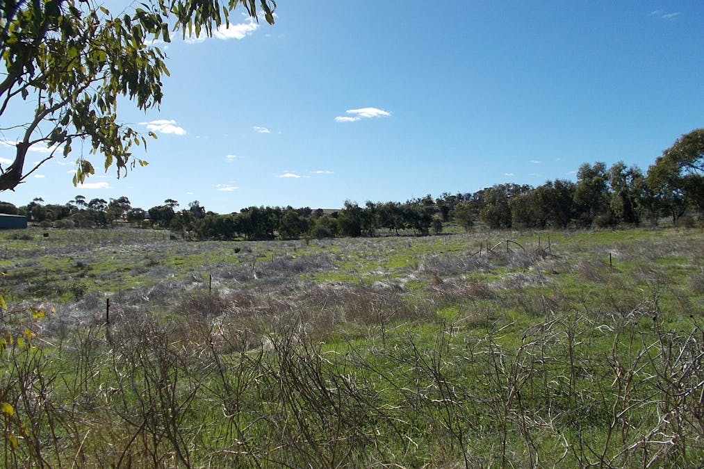 55 Stone Street, Northampton, WA, 6535 - Image 13