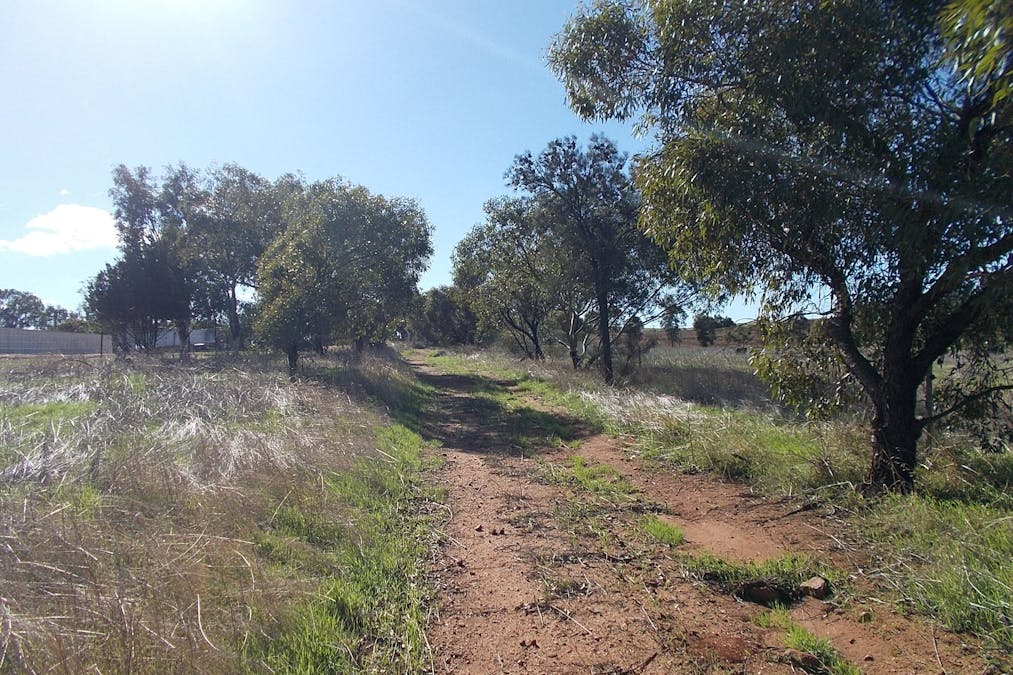 55 Stone Street, Northampton, WA, 6535 - Image 15