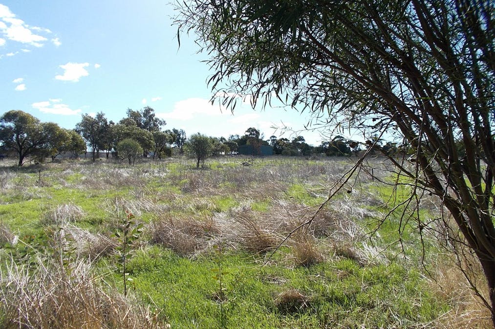 55 Stone Street, Northampton, WA, 6535 - Image 16