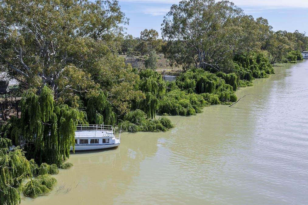 174 Causeway Road, Paringa, SA, 5340 - Image 2