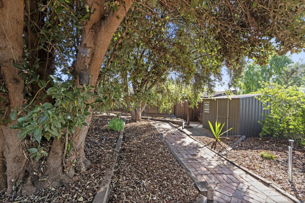 17 O'Malley Street, Berri, SA, 5343 - Image 13