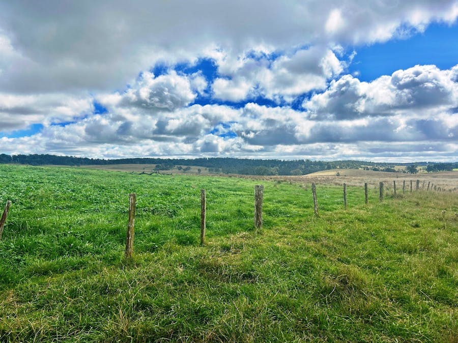 1815 Hillview Road, Salisbury Plains, NSW, 2358 - Image 5