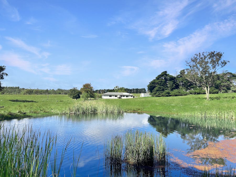 1815 Hillview Road, Salisbury Plains, NSW, 2358 - Image 10