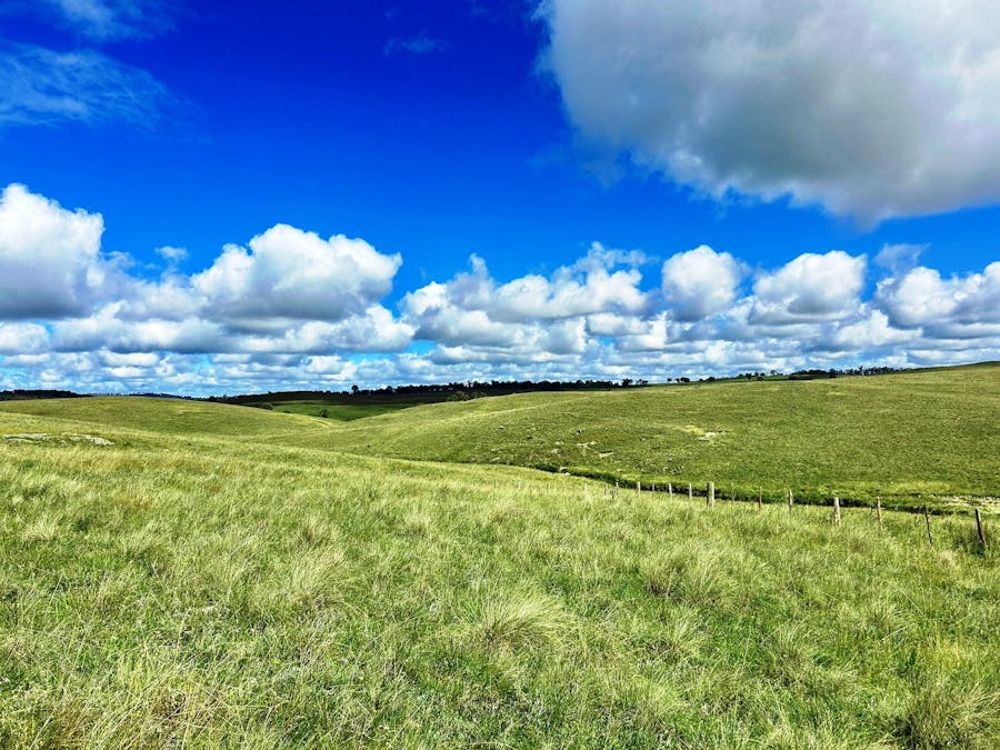 1815 Hillview Road, Salisbury Plains, NSW, 2358 - Image 2