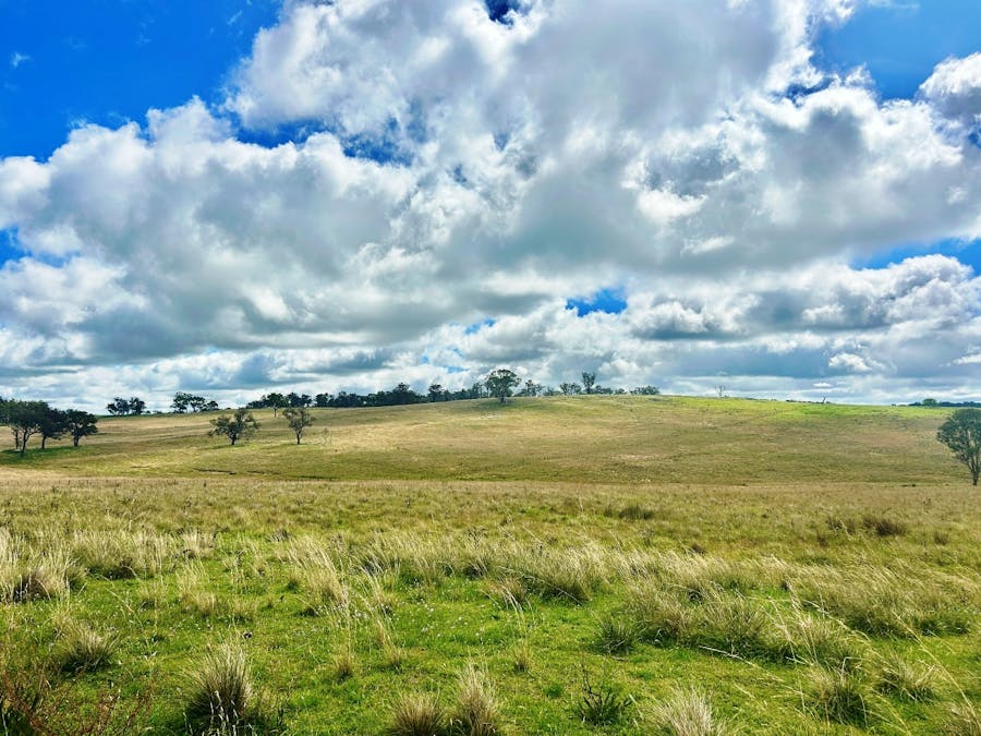 1815 Hillview Road, Salisbury Plains, NSW, 2358 - Image 3