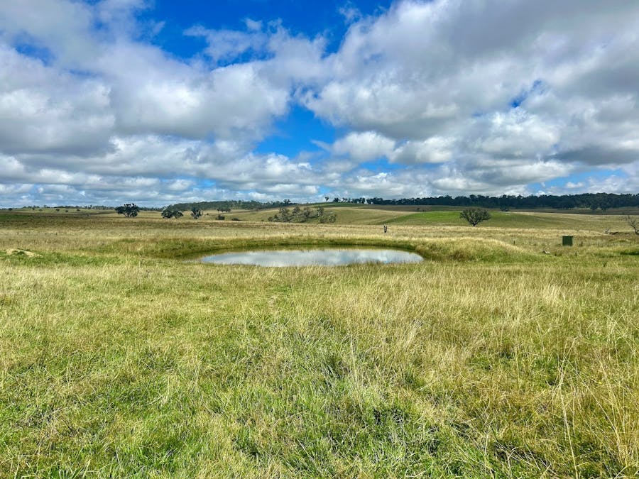 1815 Hillview Road, Salisbury Plains, NSW, 2358 - Image 6