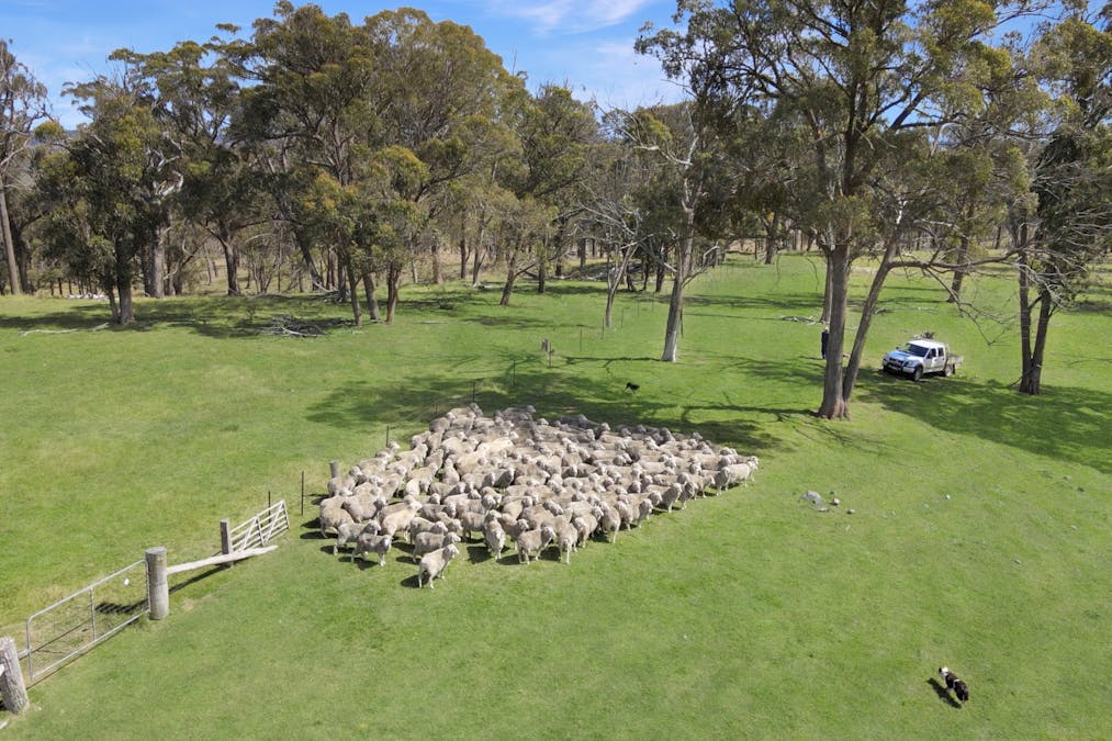 1815 Hillview Road, Salisbury Plains, NSW, 2358 - Image 11