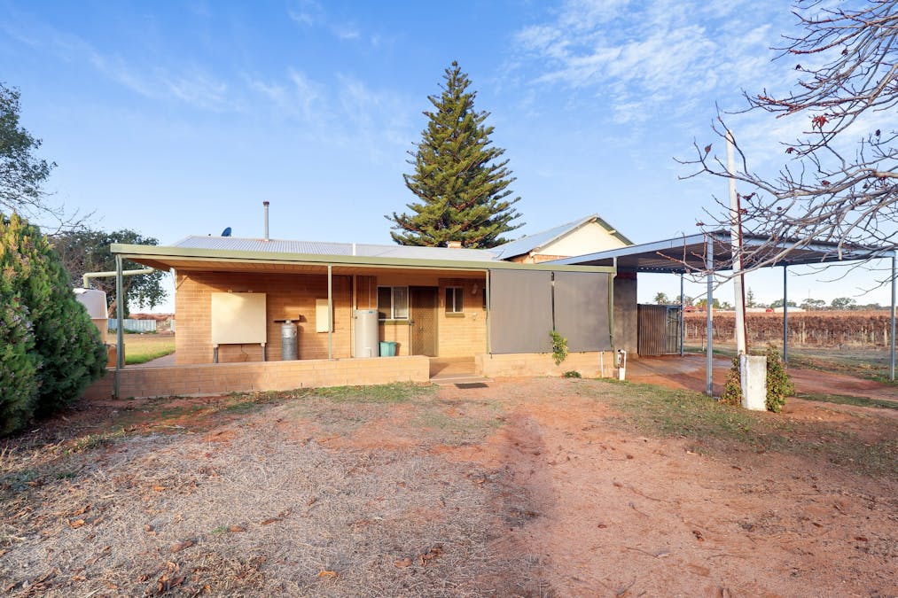 57 Old Sturt Highway, Barmera, SA, 5345 - Image 13