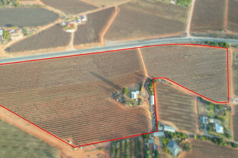 57 Old Sturt Highway, Barmera, SA, 5345 - Image 3