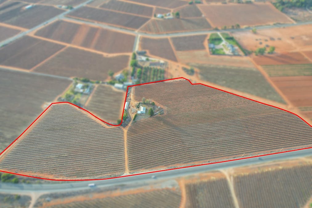 57 Old Sturt Highway, Barmera, SA, 5345 - Image 16