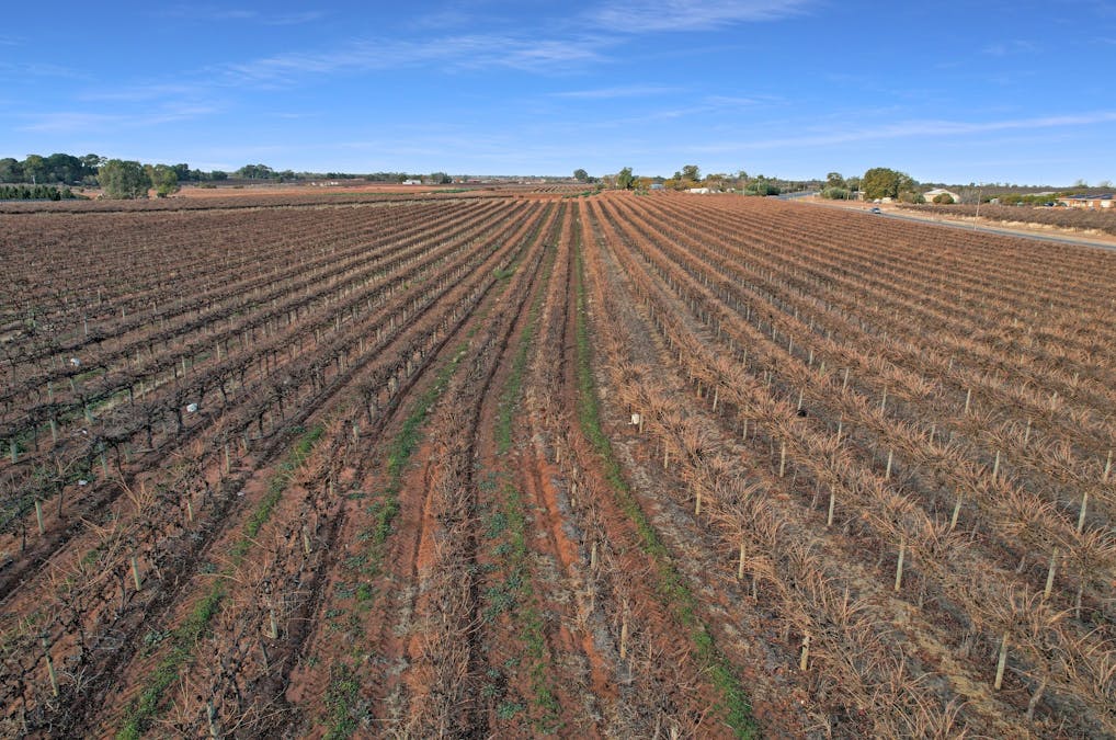 57 Old Sturt Highway, Barmera, SA, 5345 - Image 4