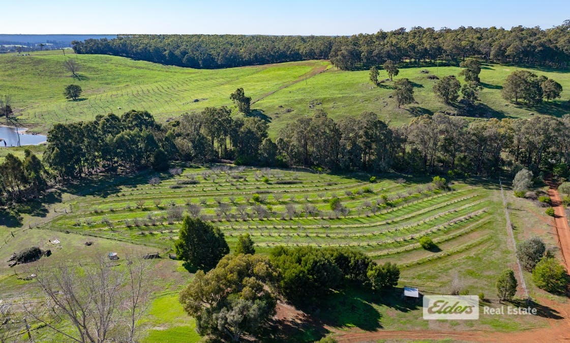 Lot 769 Prowse Road, Balingup, WA, 6253 - Image 17