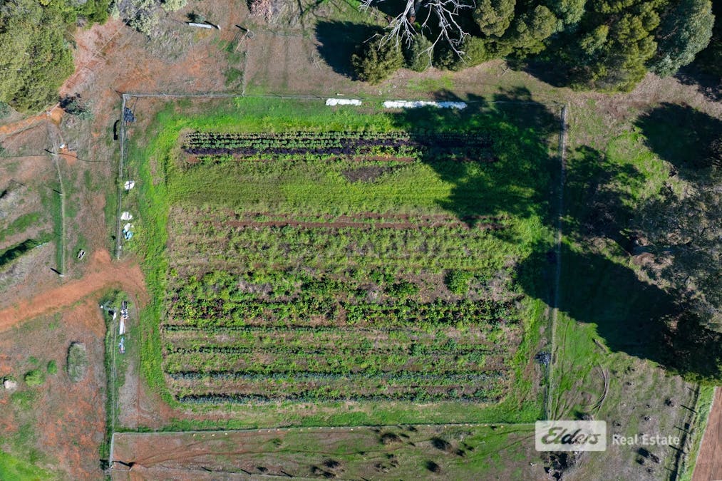 Lot 769 Prowse Road, Balingup, WA, 6253 - Image 21