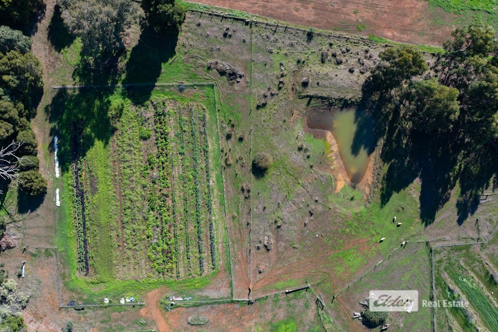 Lot 769 Prowse Road, Balingup, WA, 6253 - Image 22