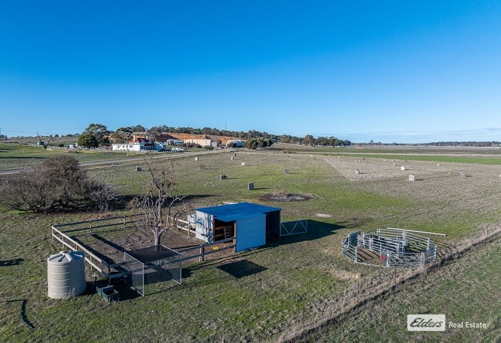 780/Langkoop Road, Naracoorte, SA, 5271 - Image 6