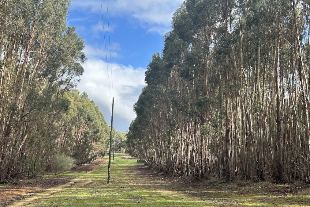 3 Bramley River Road, Osmington, WA, 6285 - Image 12