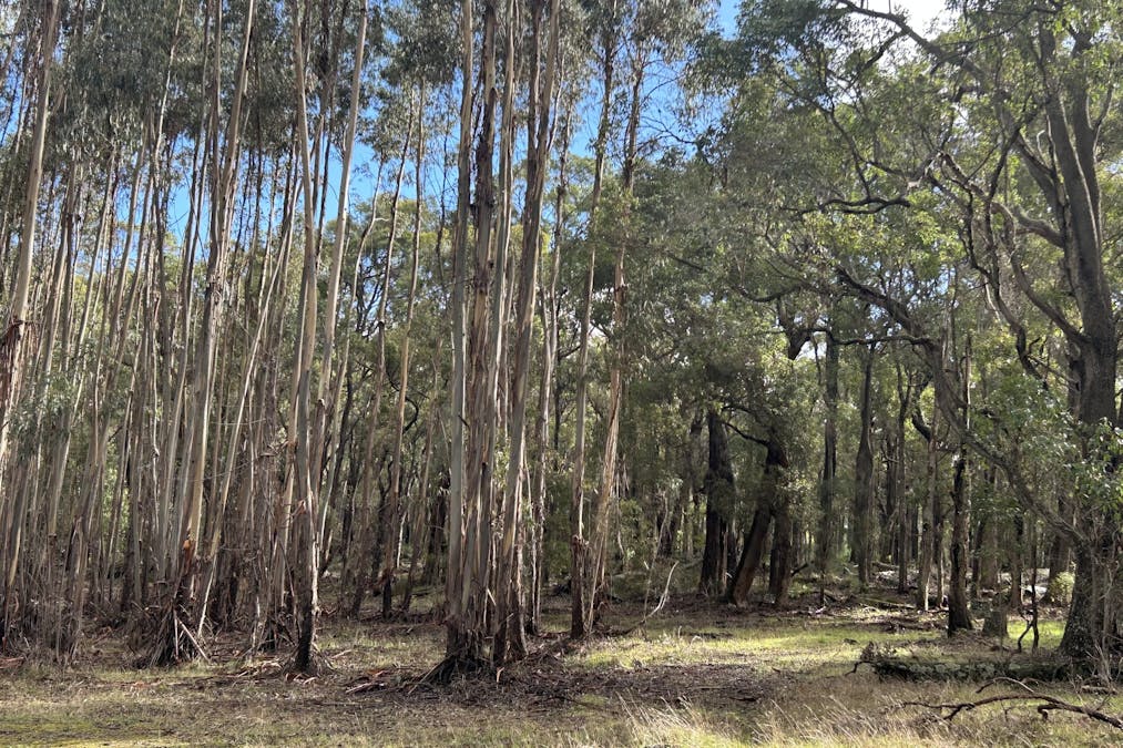 3 Bramley River Road, Osmington, WA, 6285 - Image 2