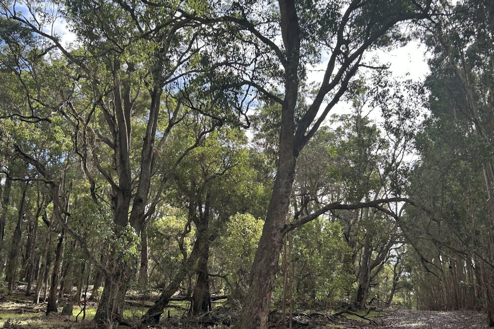 3 Bramley River Road, Osmington, WA, 6285 - Image 5