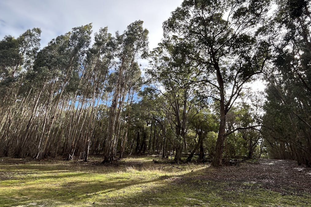 3 Bramley River Road, Osmington, WA, 6285 - Image 6