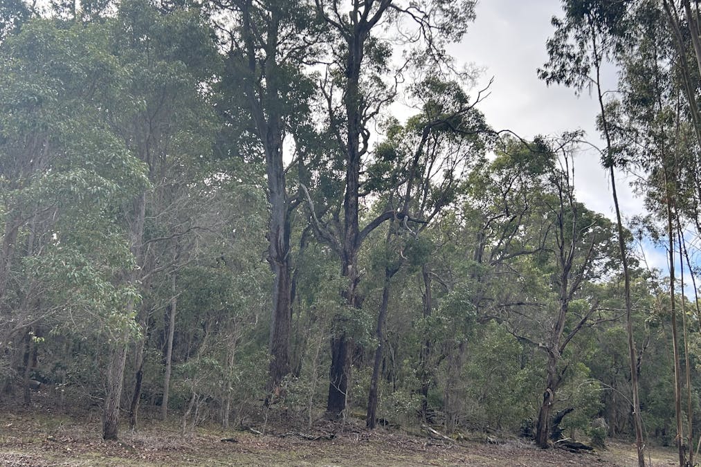 3 Bramley River Road, Osmington, WA, 6285 - Image 8