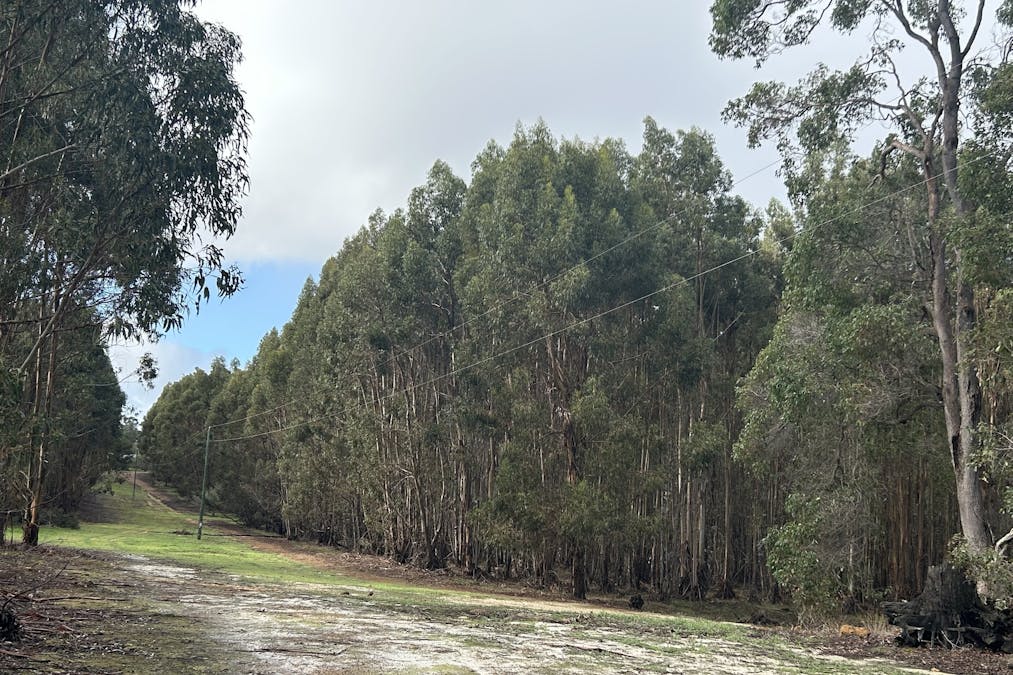 3 Bramley River Road, Osmington, WA, 6285 - Image 9