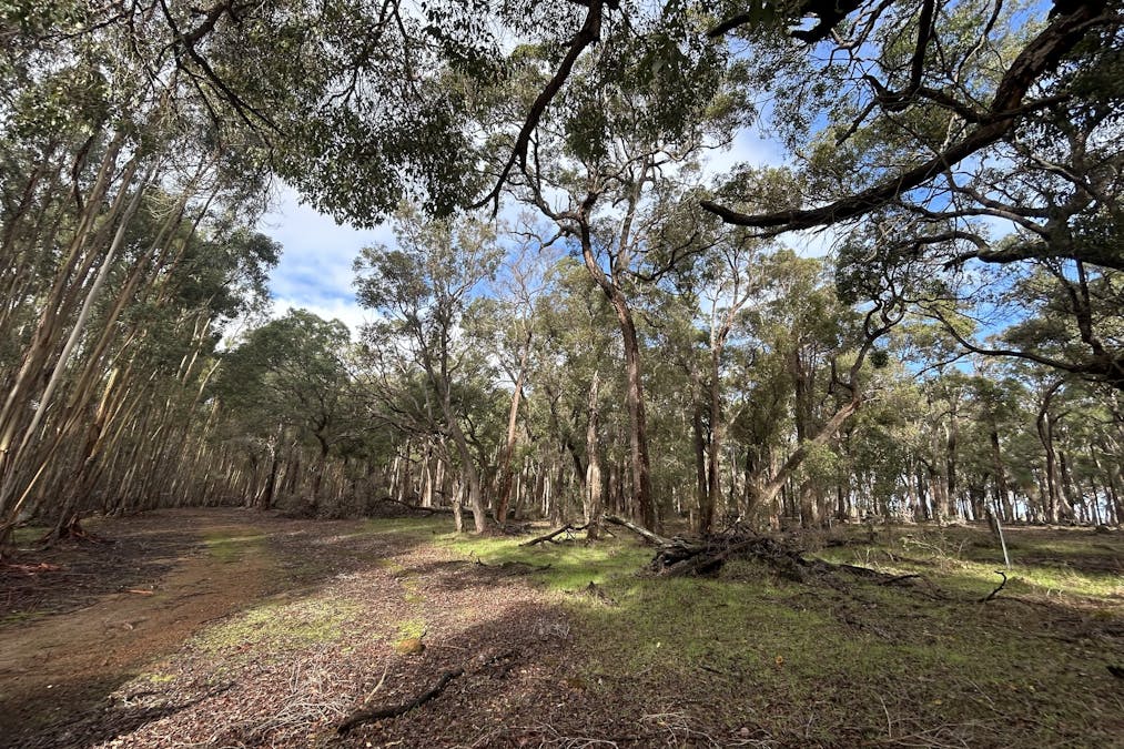 3 Bramley River Road, Osmington, WA, 6285 - Image 11