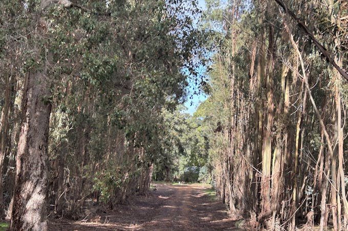 3 Bramley River Road, Osmington, WA, 6285 - Image 1