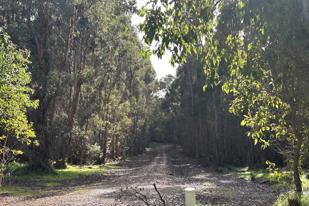 3 Bramley River Road, Osmington, WA, 6285 - Image 13
