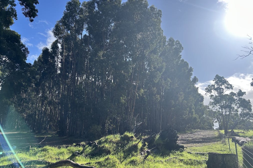 3 Bramley River Road, Osmington, WA, 6285 - Image 14