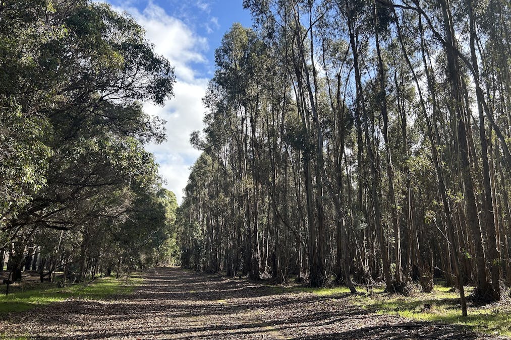 3 Bramley River Road, Osmington, WA, 6285 - Image 15