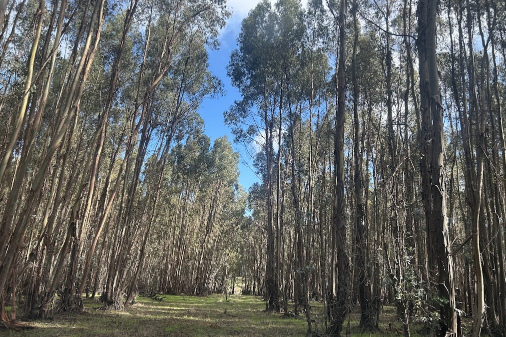 3 Bramley River Road, Osmington, WA, 6285 - Image 16