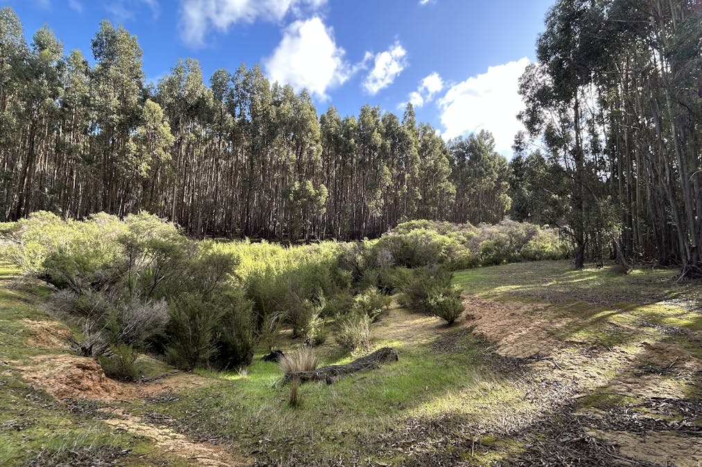 3 Bramley River Road, Osmington, WA, 6285 - Image 4
